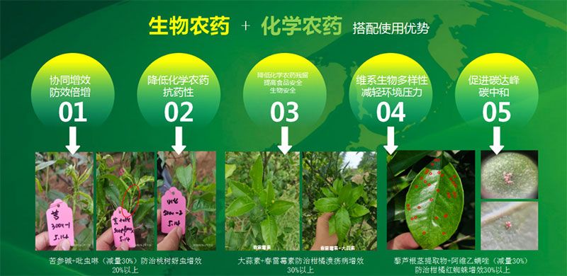 新朝陽在第六屆中國(guó)農(nóng)藥行業(yè)市場(chǎng)和銷售高峰論壇做“生物農(nóng)藥+化學(xué)農(nóng)藥，引領(lǐng)植保市場(chǎng)未來”主題報(bào)告