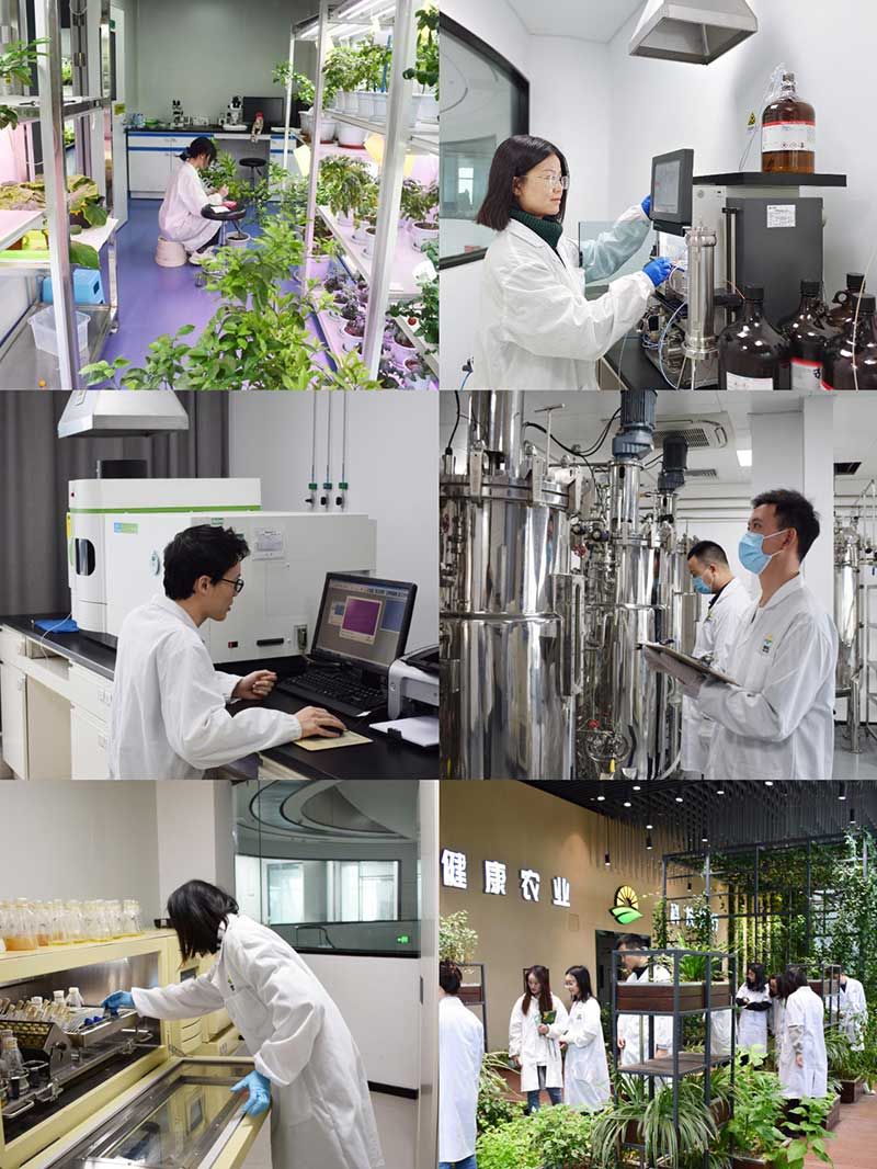 “全國科技工作者日”：推動農業(yè)綠色高質量發(fā)展，新朝陽科研人在路上