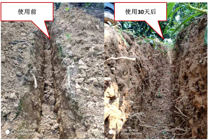 “土壤板結(jié)克星”：土壤調(diào)理劑你了解多少？
