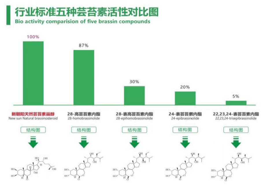 小麥拌種選新朝陽天然蕓苔素，讓小麥高產(chǎn)贏在起跑線上?。ㄐ←溤谑裁磿r候用蕓苔素效果最佳）